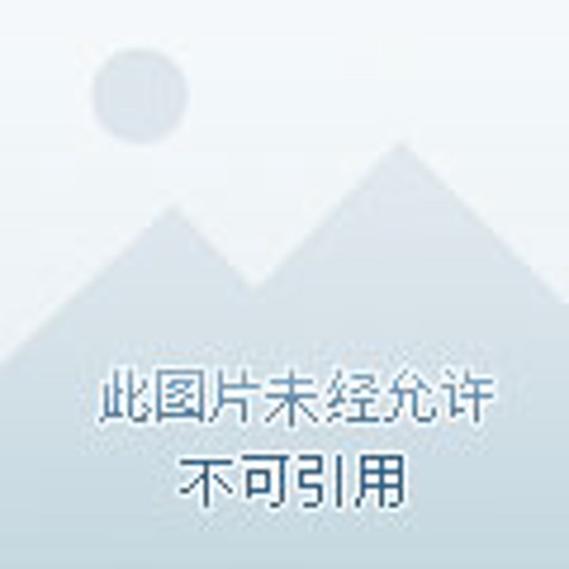 娄底批发零售行业的活力与变迁